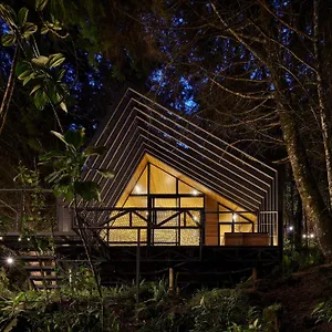 Oculto Refugio De Bosque Campsite